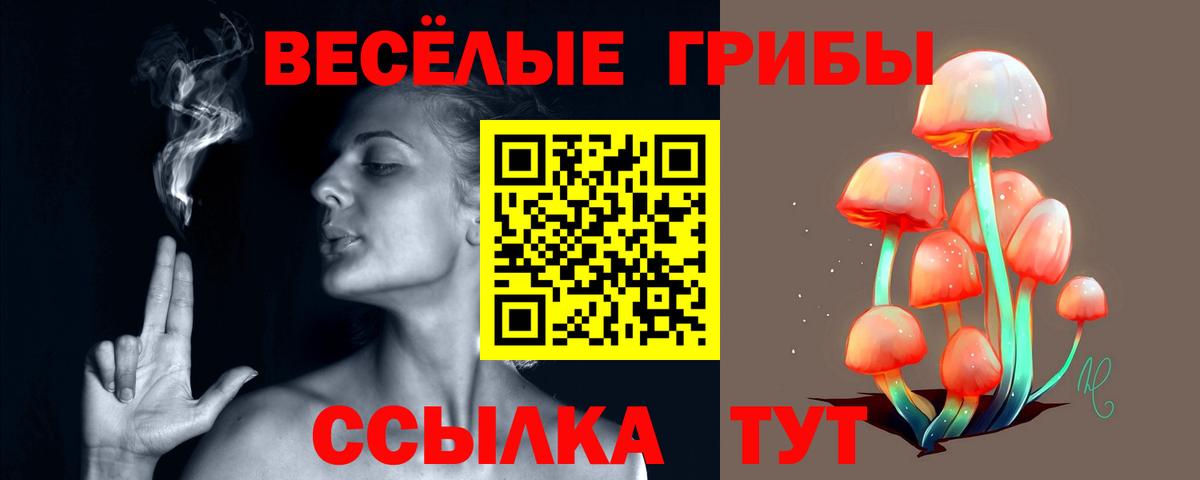 Галлюциногенные грибы Psilocybine cubensis Подольск